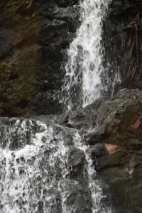 unnamed - 2025-09-22T103840.681